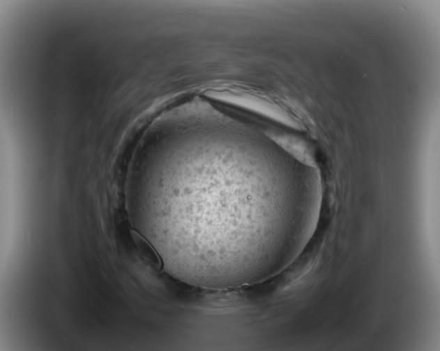 X0000086031159200703301048
