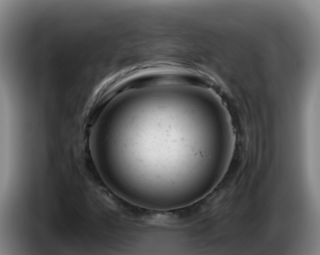 X0000086031160200703301048