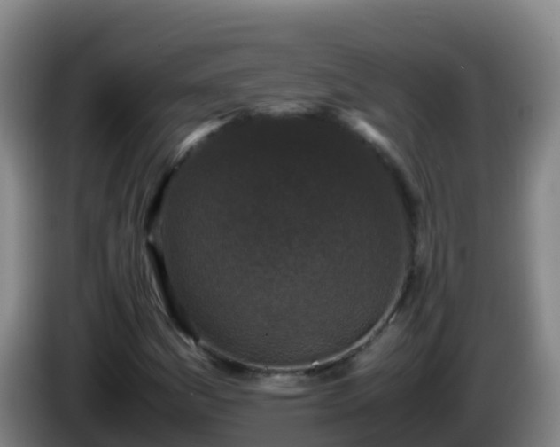 X0000086031161200703301048
