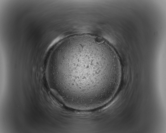 X0000086031163200703301048