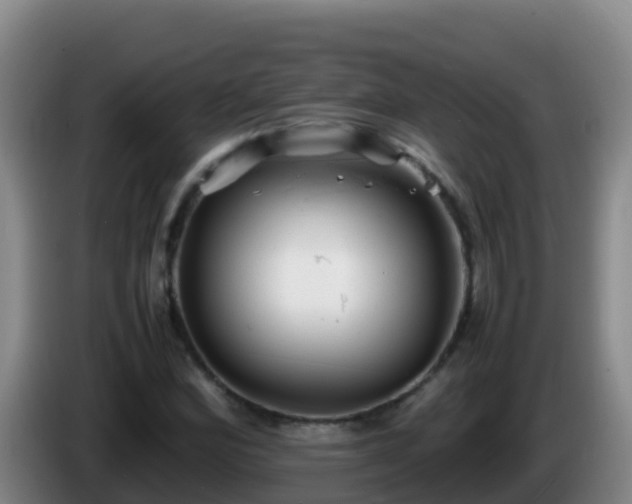 X0000086031164200703301048