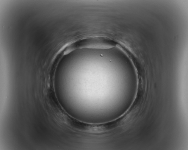 X0000086031165200703301048