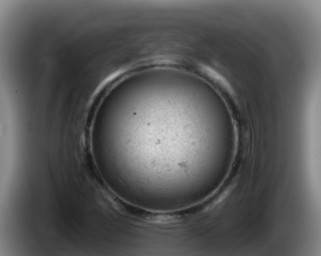 X0000086031166200703301048