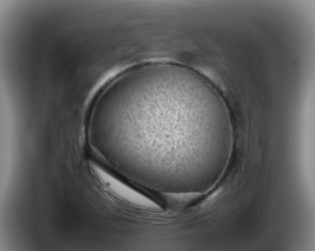 X0000086031167200703301048