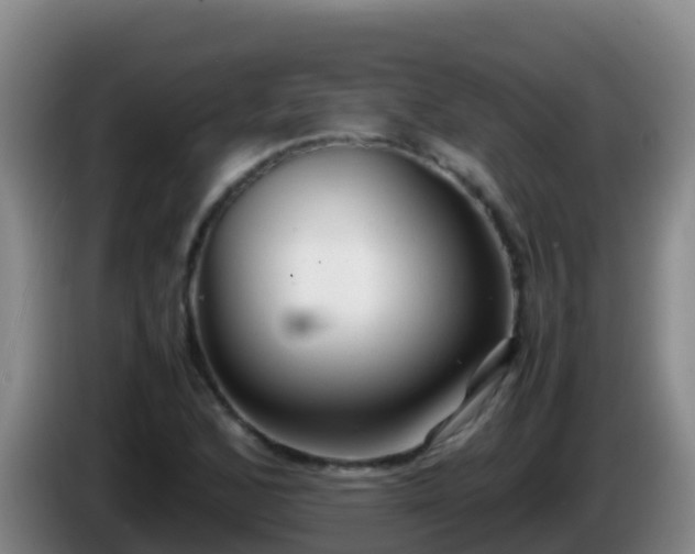 X0000086031168200703301048