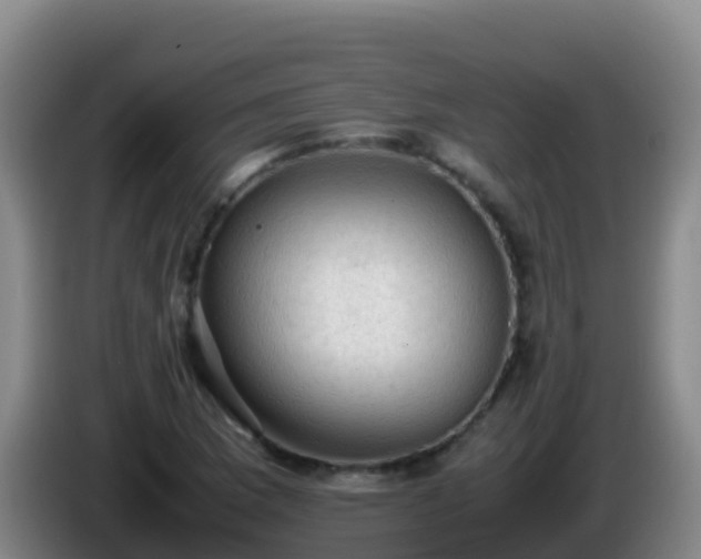 X0000086031169200703301048