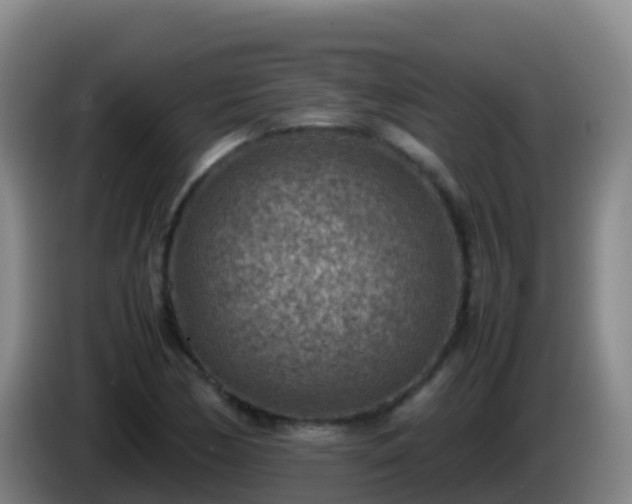 X0000086031170200703301048