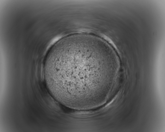 X0000086031171200703301048