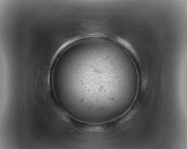 X0000086031174200703301047