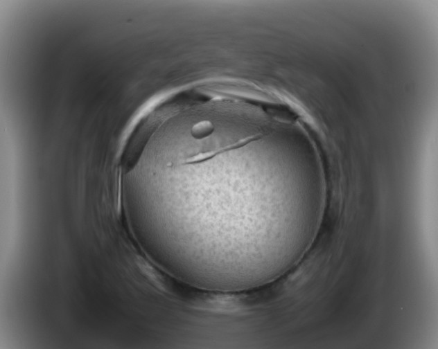 X0000086031175200703301047