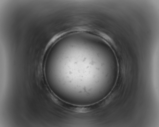 X0000086031176200703301047