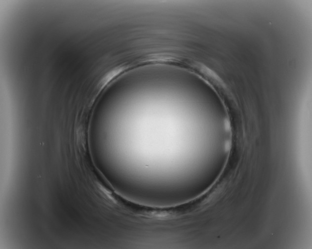 X0000086031177200703301047