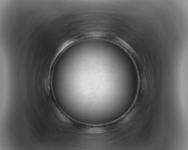 X0000086031178200703301047