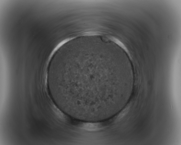 X0000086031179200703301047
