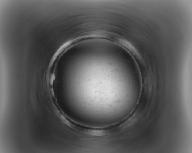 X0000086031180200703301047
