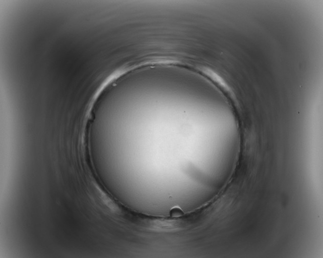 X0000086031181200703301047
