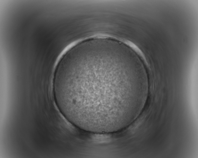 X0000086031183200703301047