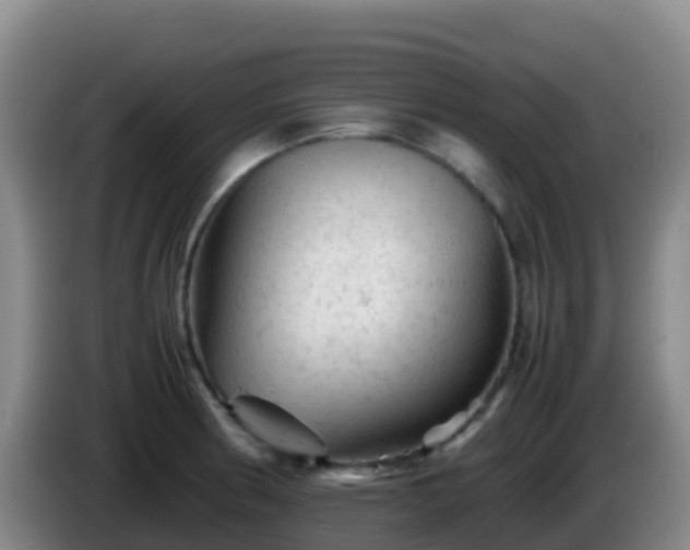 X0000086031186200703301047