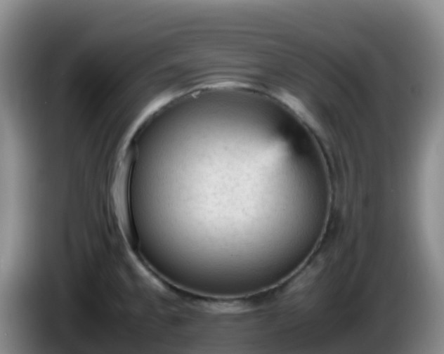X0000086031189200703301047