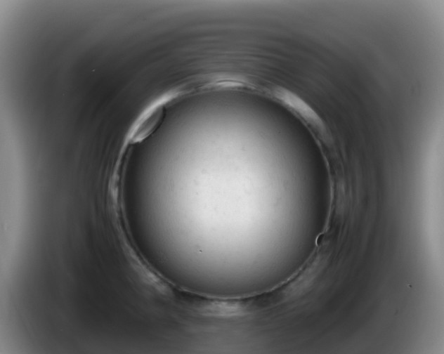 X0000086031190200703301047