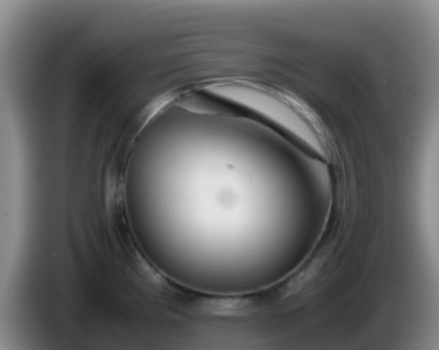 X0000086031193200703301047