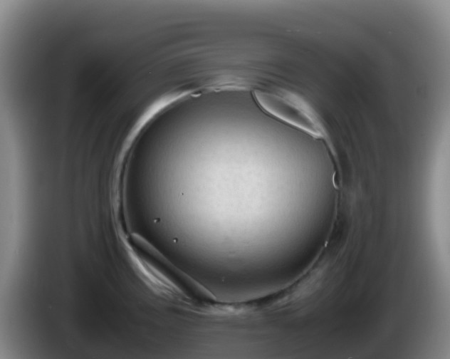 X0000086031195200703301047
