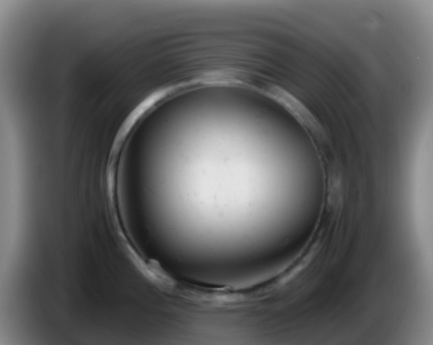 X0000086031196200703301047