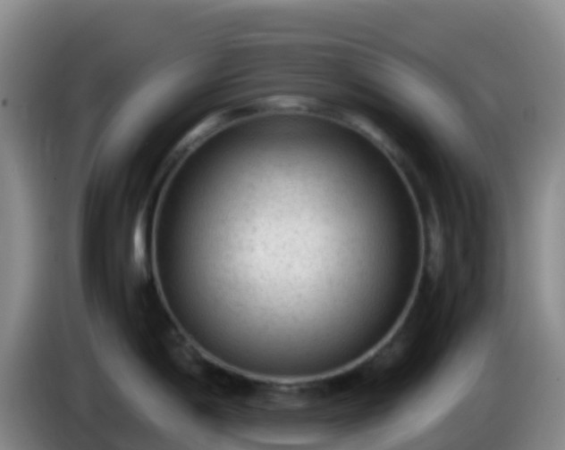 X0000086031198200703301047
