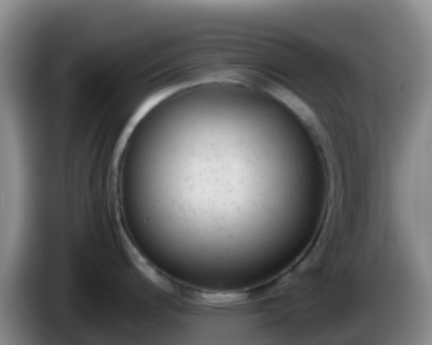 X0000086031200200703301047