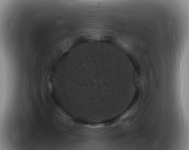 X0000086031202200703301046