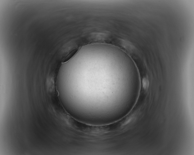 X0000086031203200703301046
