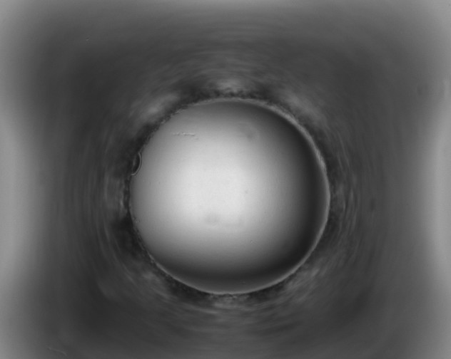 X0000086031205200703301046