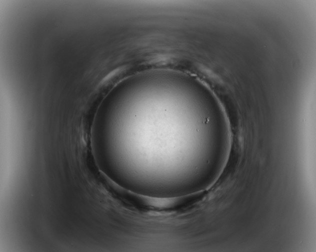 X0000086031206200703301047