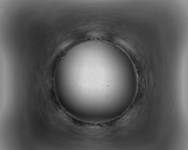X0000086031207200703301047