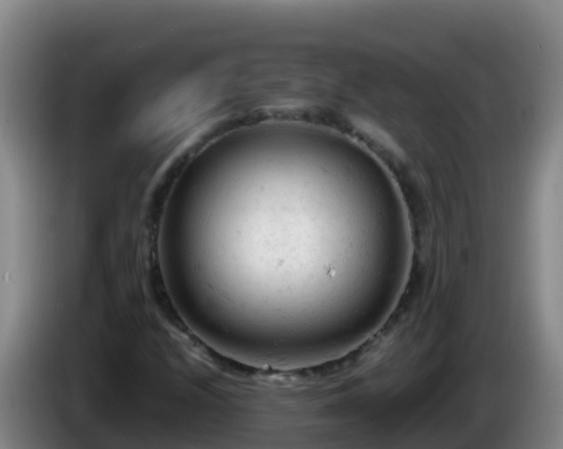 X0000086031208200703301047