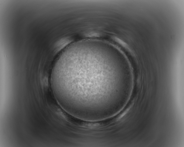 X0000086031209200703301047