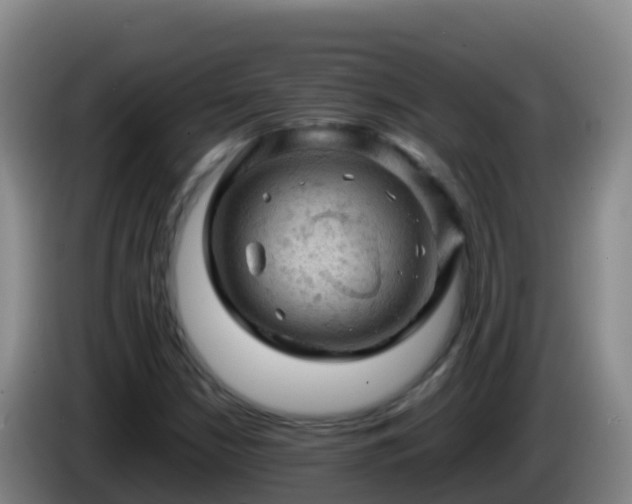 X0000086031210200703301047