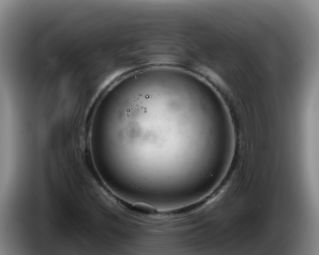 X0000086031212200703301047