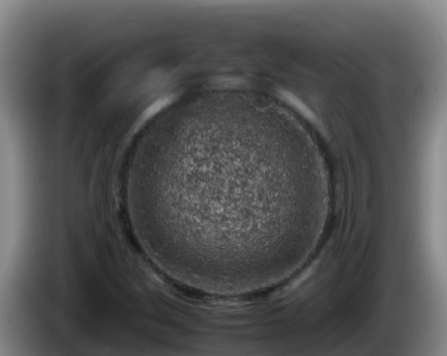 X0000086031213200703301047