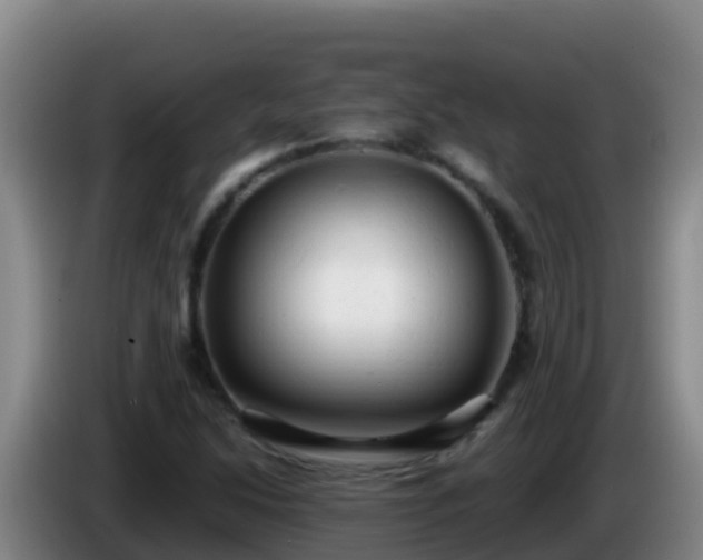 X0000086031214200703301047