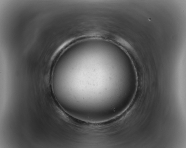 X0000086031216200703301047