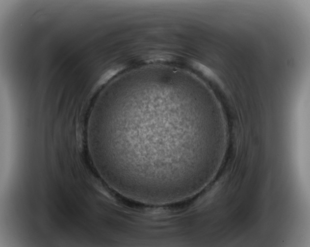 X0000086031217200703301047