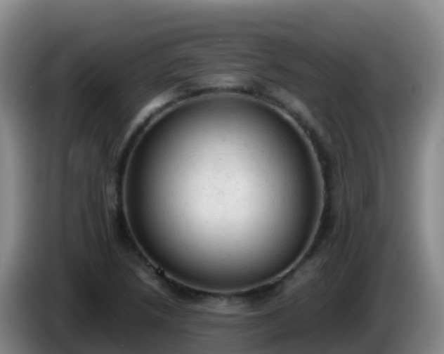 X0000086031218200703301047