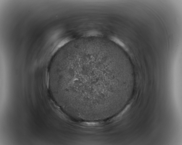 X0000086031219200703301047