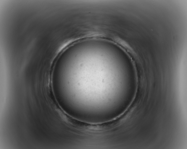 X0000086031220200703301047