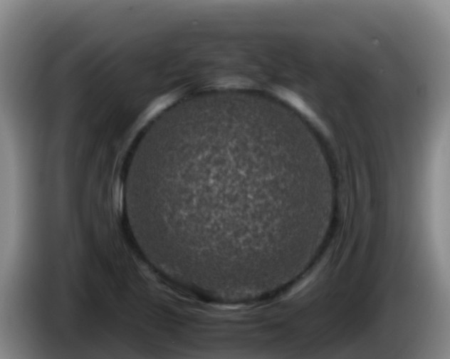 X0000086031221200703301047