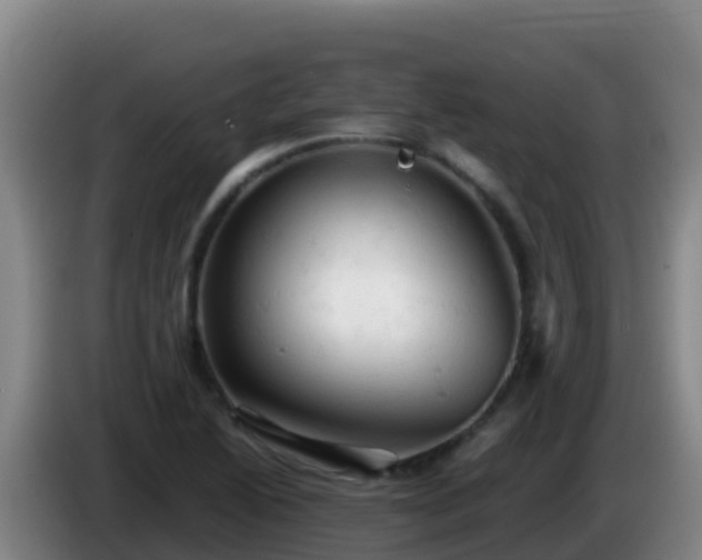 X0000086031222200703301047
