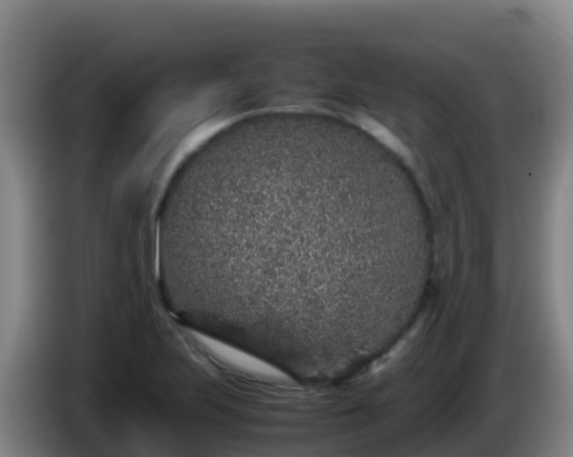 X0000086031223200703301047