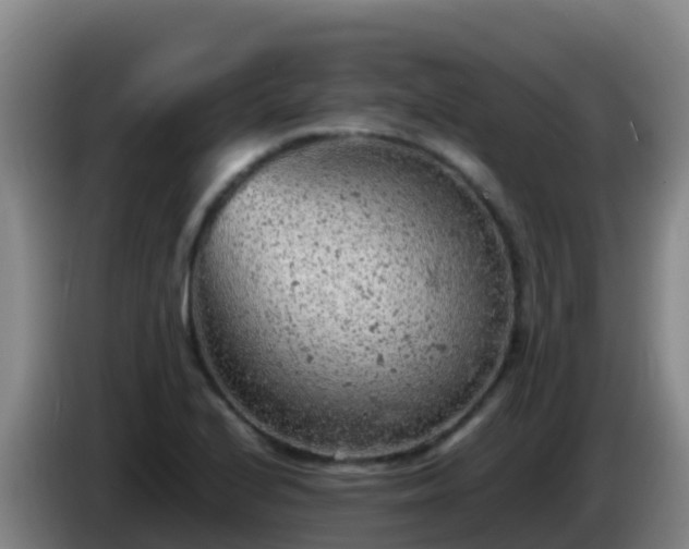 X0000086031224200703301047