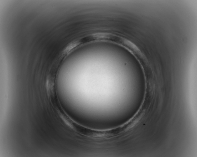 X0000086031225200703301047